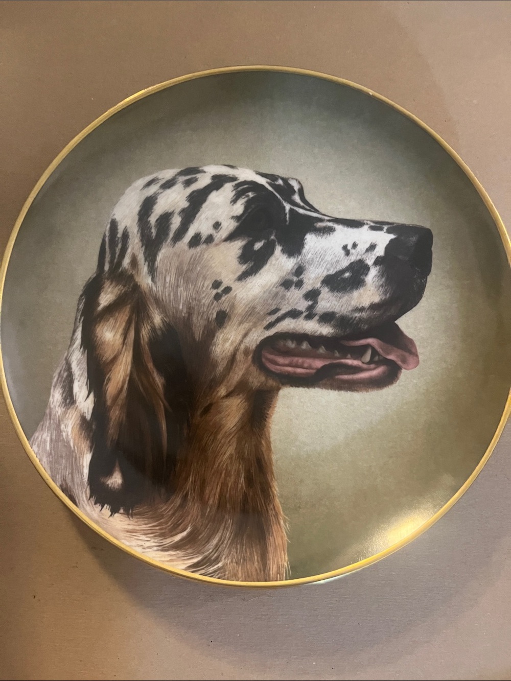 VTG Kaiser Porcelain” English Setter” Collector Plate Limited Edition 1972 800
